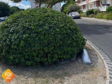 property v1360090470 0