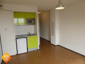 property v1310095011 2
