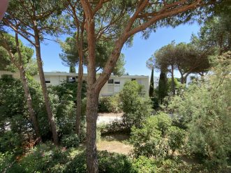 property v1390094957 3