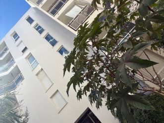property v880068677 3