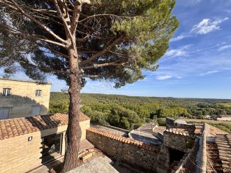 property v1310097615 2