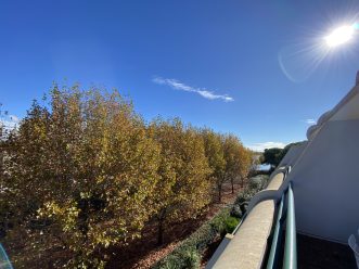 property v1390098135 3