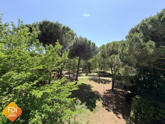 property v1390101525 4